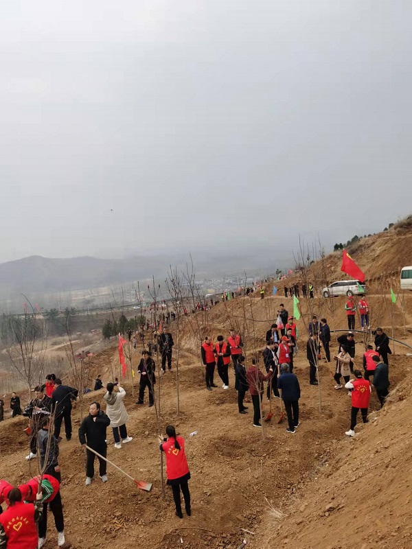 On-site tree planting-1.jpg