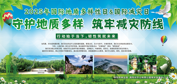 活动设计版面.png